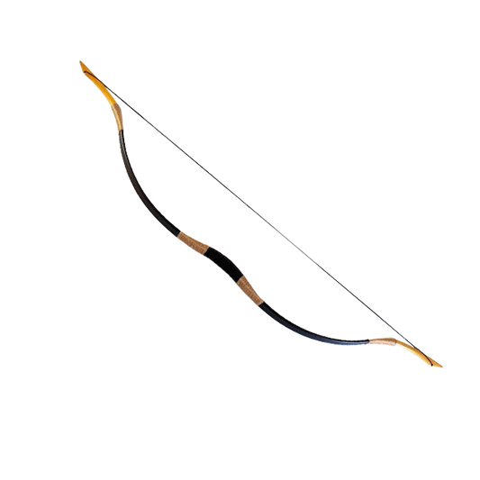 Teenager recurve bow